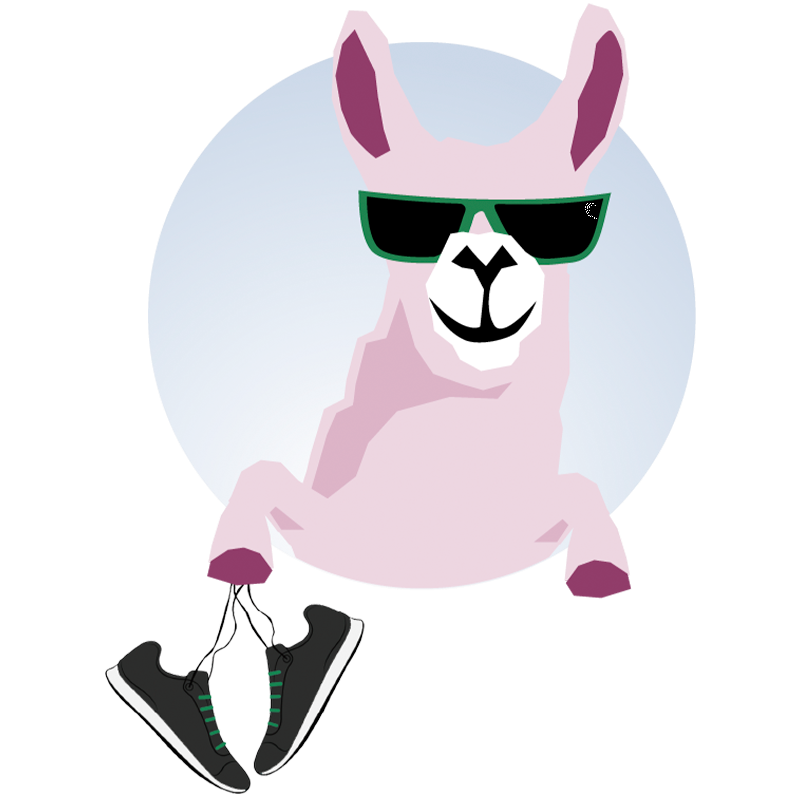 llama marathon shoes